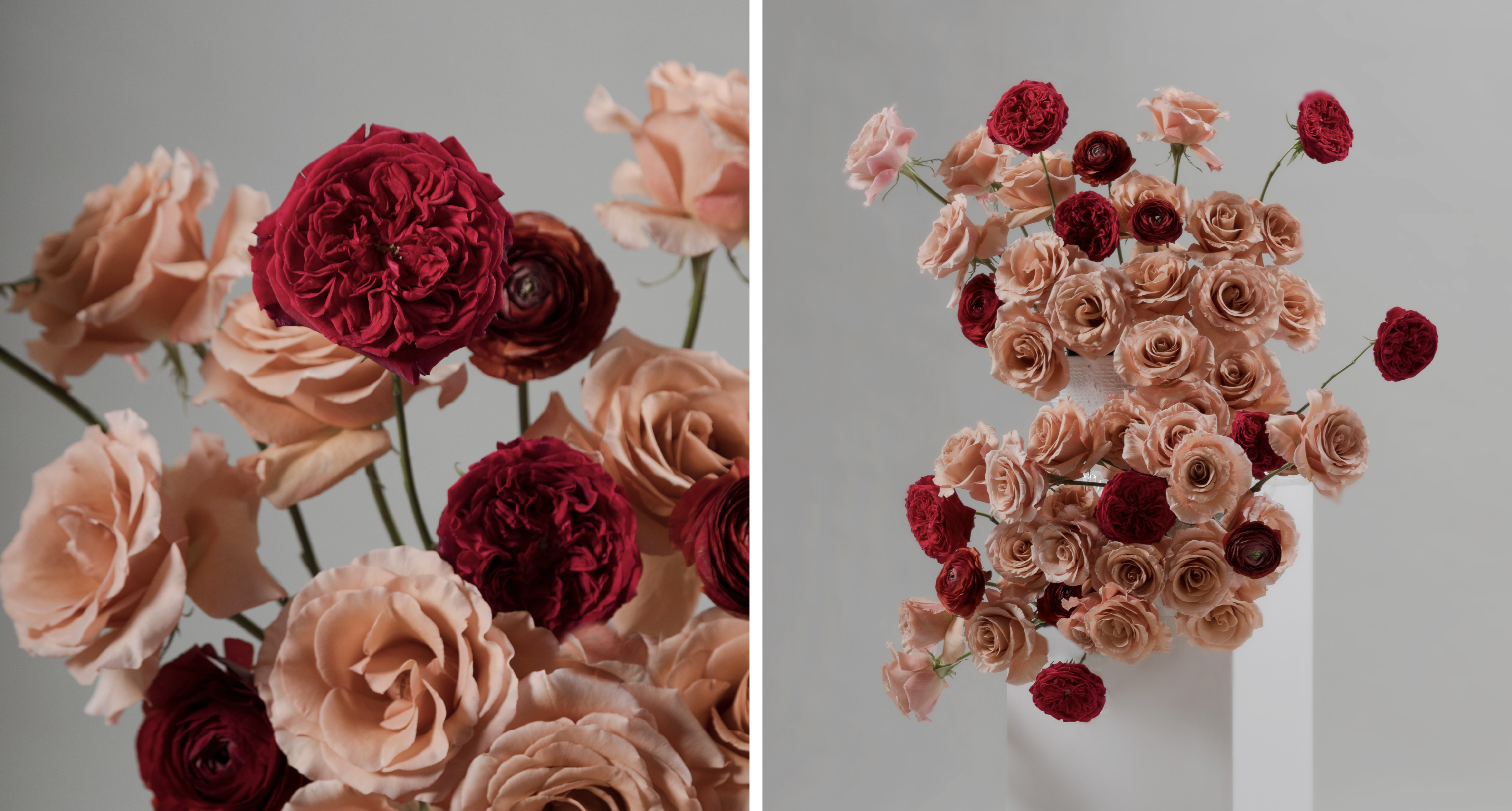 Fall Contrast Campaign