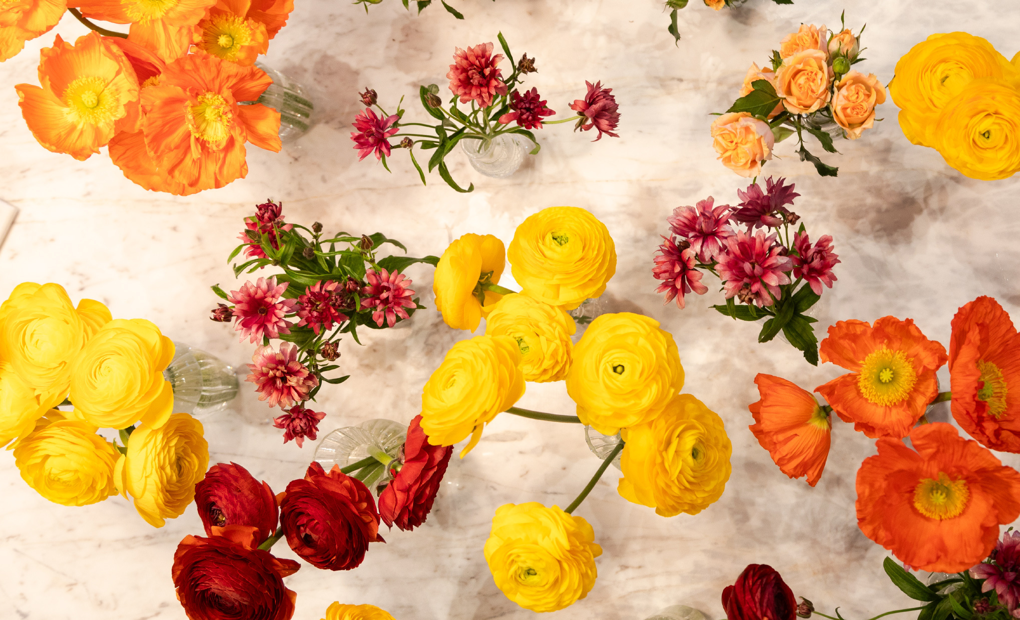 Blog-thanksgiving_Parrafo Final