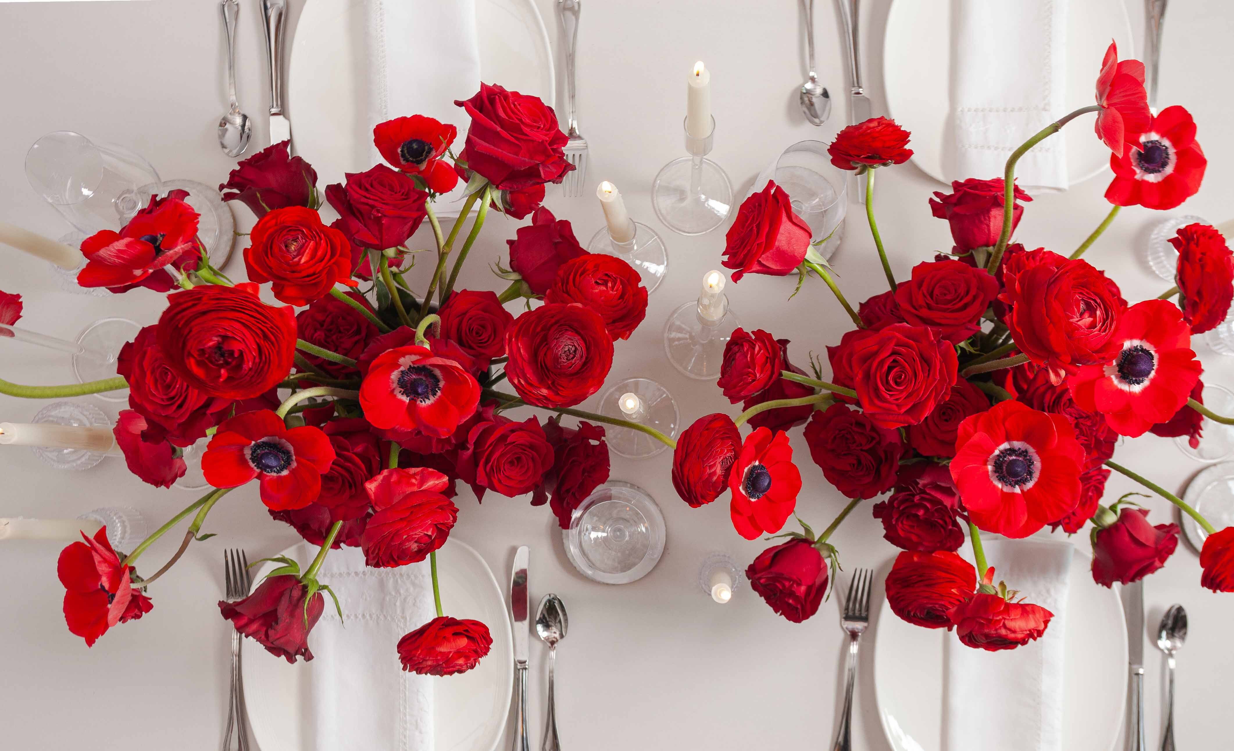 Blog Christmas Reds