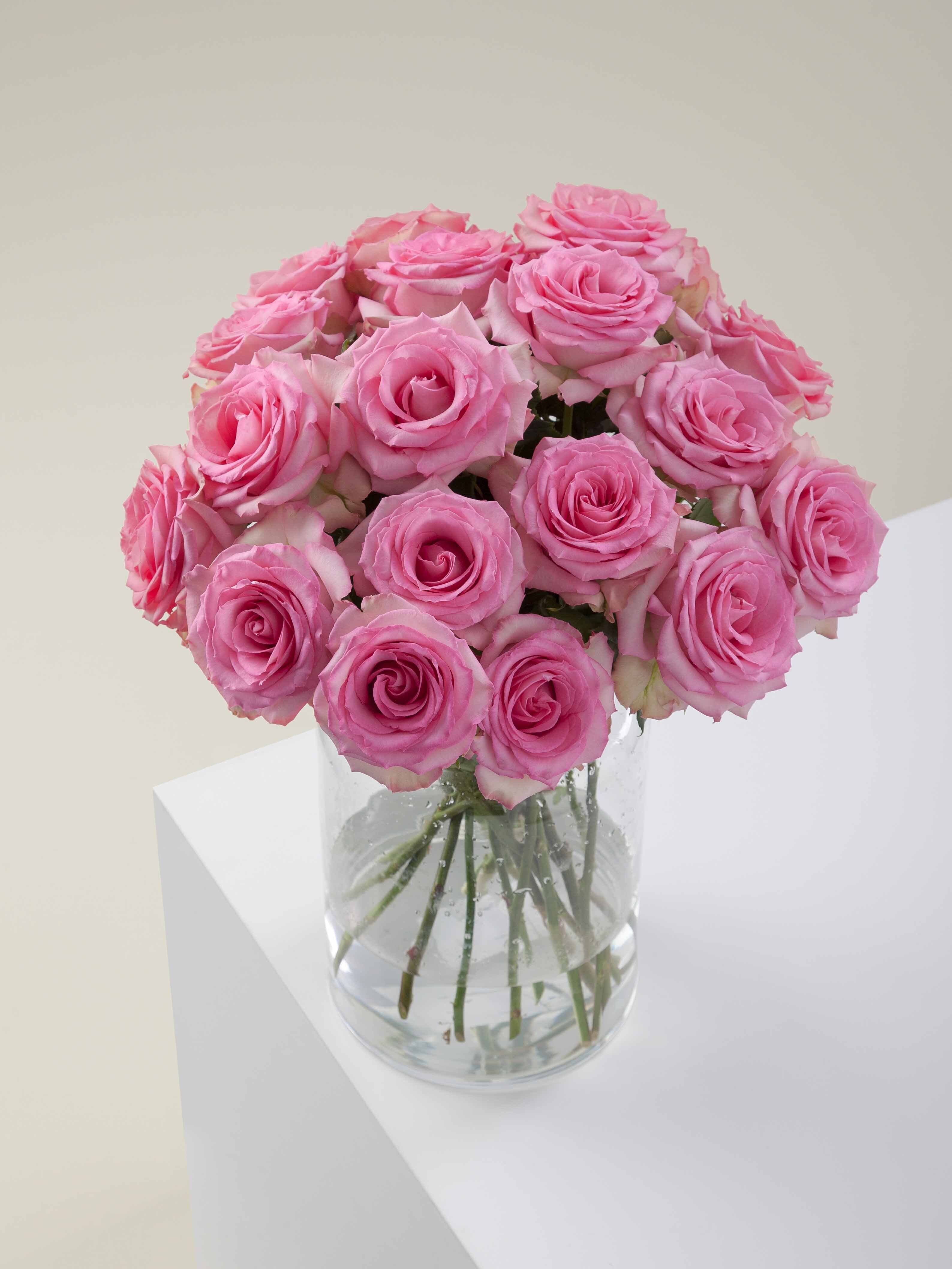 Rosaprima | Sweet Unique