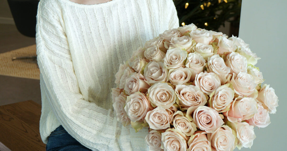 Ro Rosa Prime Rosaprima | Rosaprima Welcomes 2020 with 8 New Varieties