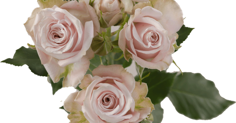 Portrait_AerialView_Alta_2023-