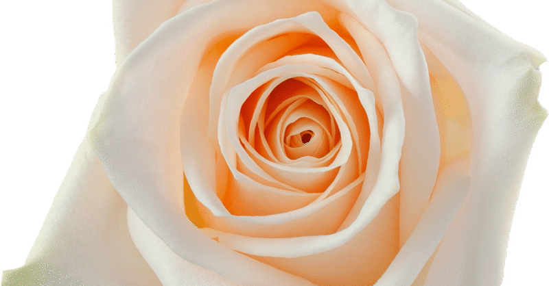 Soul.png?mtime=1728061762