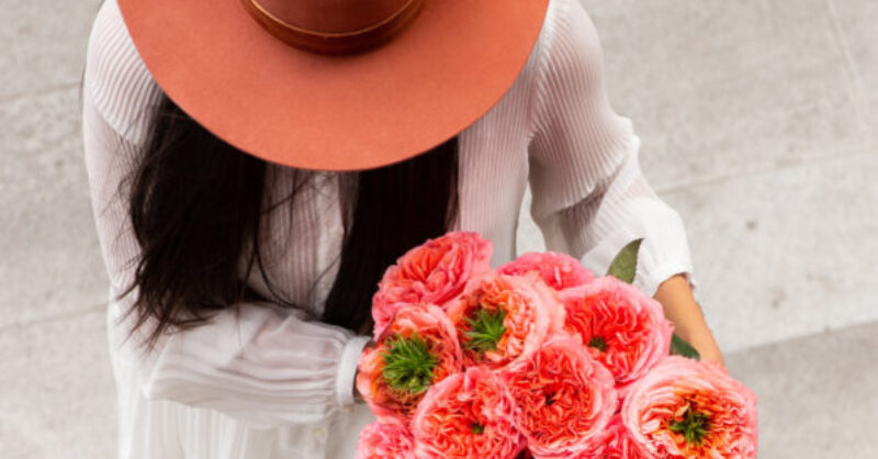 pink-varieties-banner.jpeg?