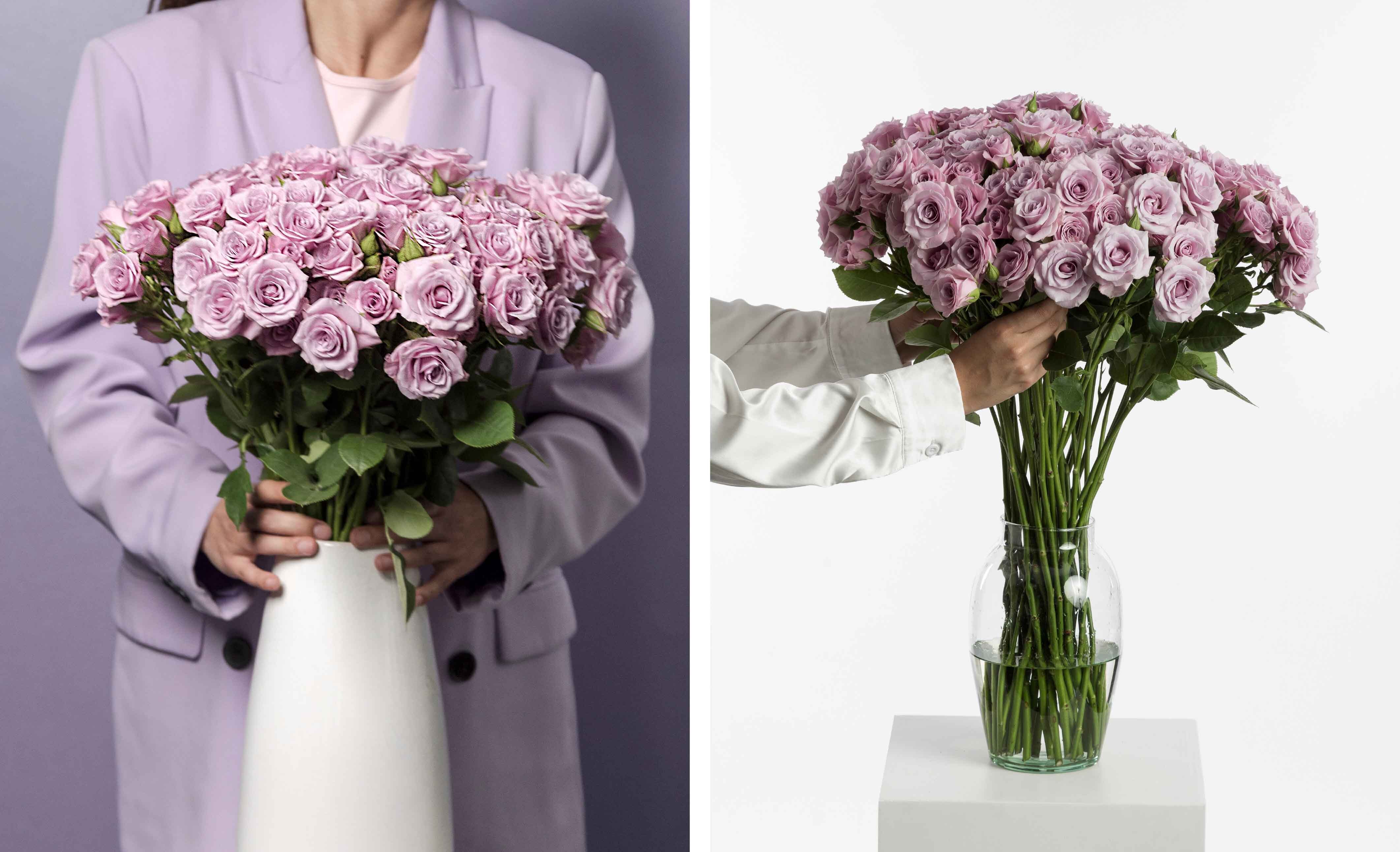 Rosaprima Lavender Spray Rose